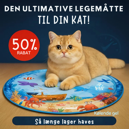 Water Speelkleed voor Katten
