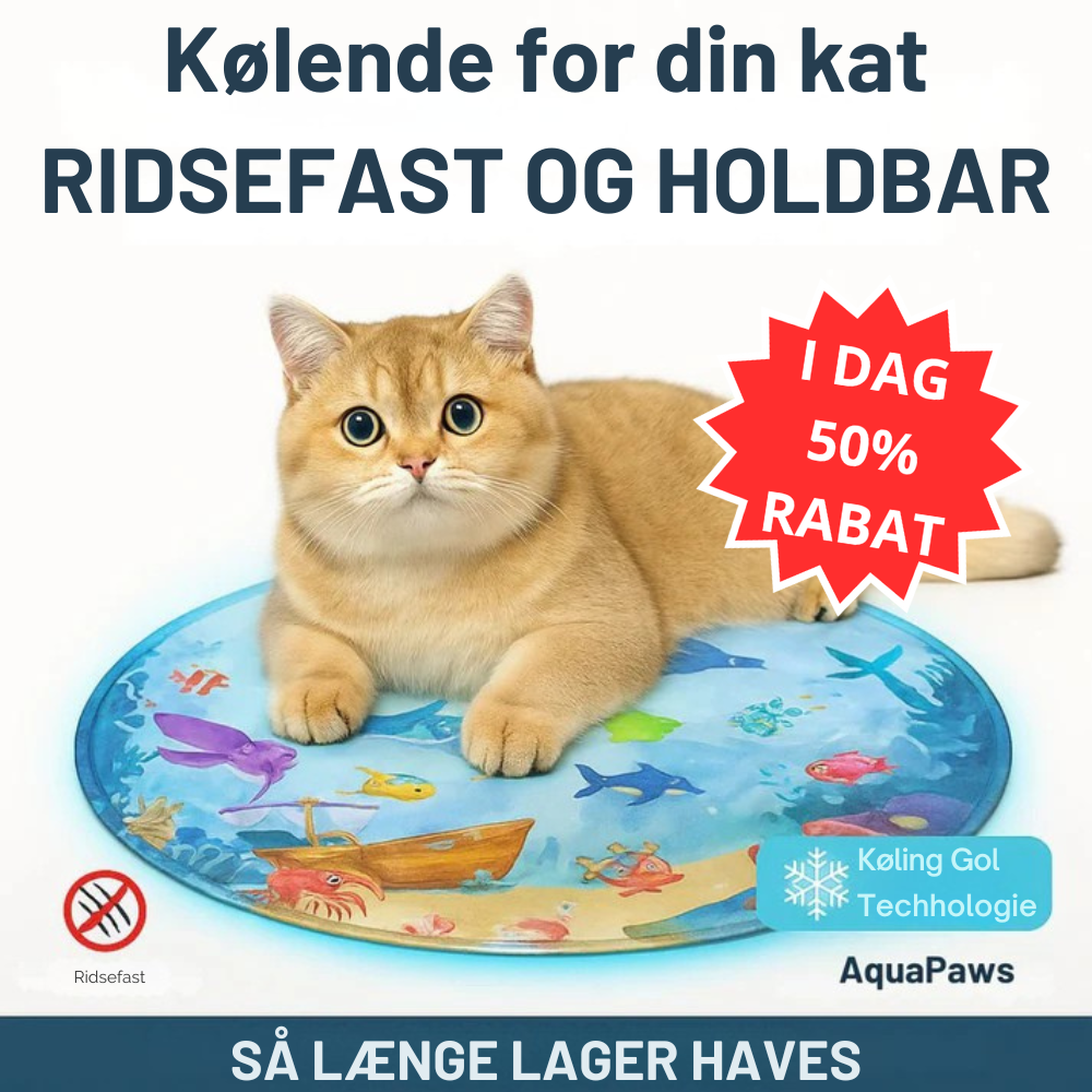 Water Speelkleed voor Katten